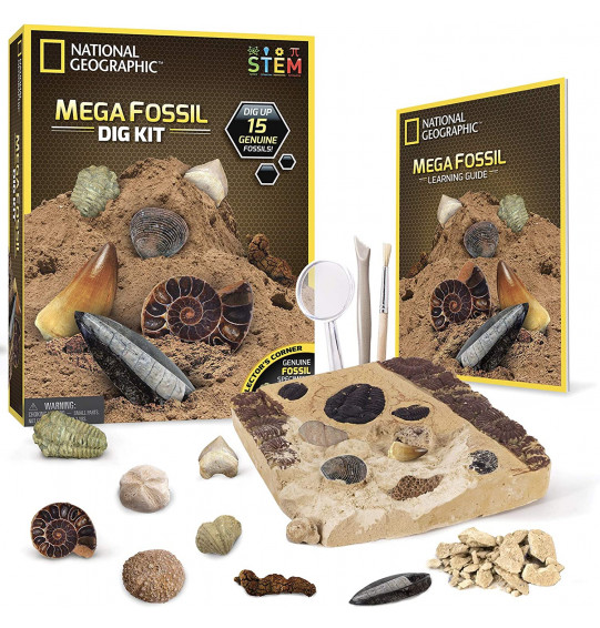 NATIONAL GEOGRAPHIC Mega Fossil Dig Kit – Excavate 15 Real Fossils Including Dinosaur Bones & Shark Teeth, Educational Toys